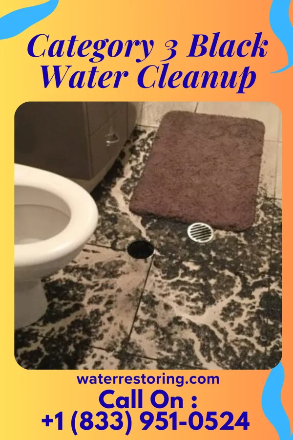 Category 3 Black Water Cleanup in Hessville, OH