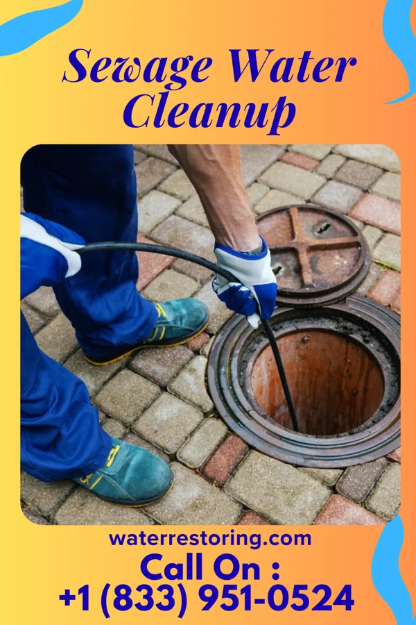 Sewage Water Cleanup in Hessville, OH